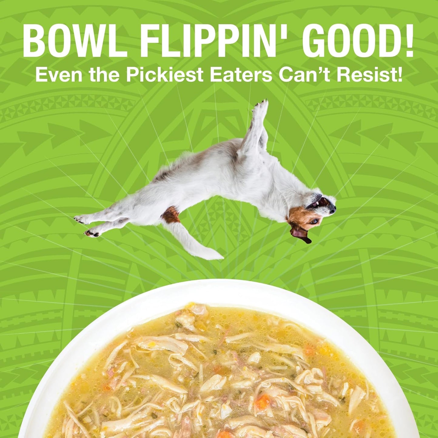 KOHA Pure Shreds Chicken and Duck Entrée for Dogs, 12.5oz Cans (Pack of 12)