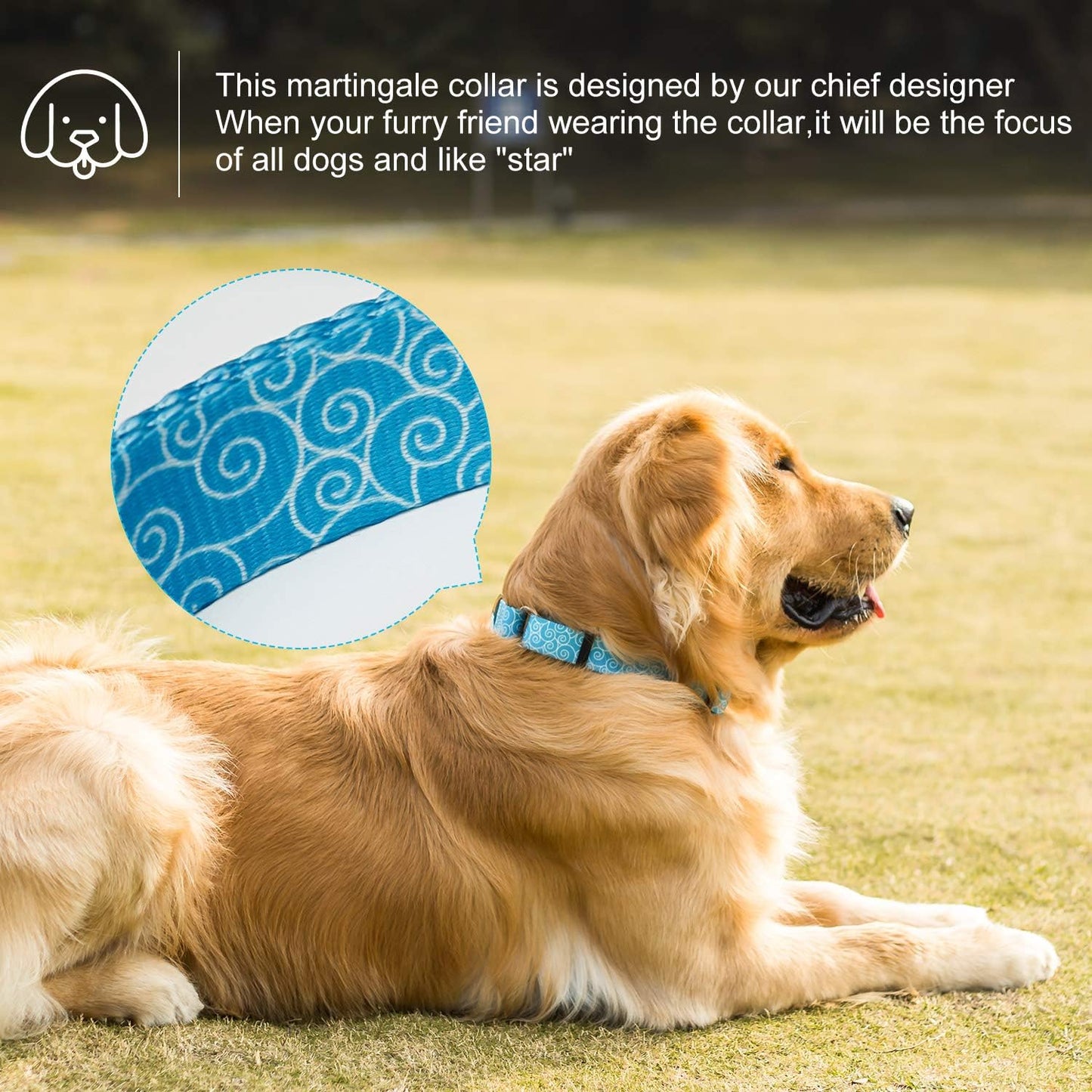 Martingale Collars for Dogs, Sky Blue, Large, Neck 17 Inch -25 Inch, Dog Collar No Pull No Escape for Walking Training