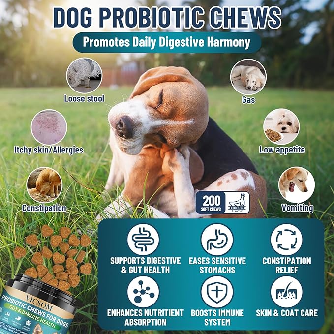 Dog Probiotics for Dogs, 200 Soft Probiotics Chews for Dogs Digestive Health Gut Health & Immune System, with 6 Probiotics & Digestive Enzymes, Support Itchy Skin, Constipation & Diarrhea Relief