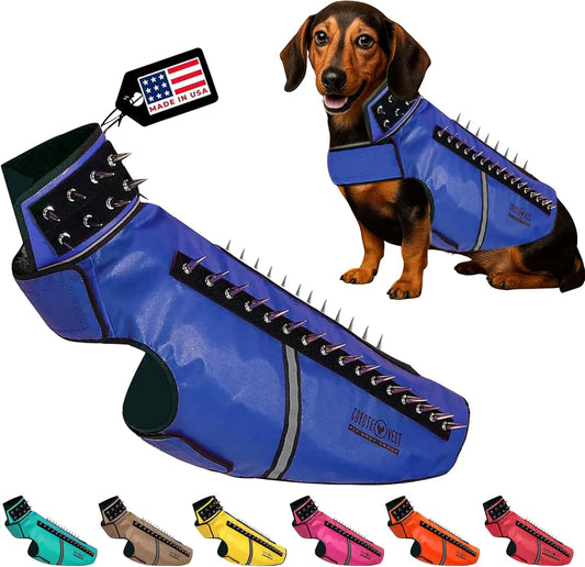 CoyoteVest SpikeVest Dog Harness Vest for Small Dogs, Reflective Dog Vest with Spikes to Shield Your pet from Coyotes, Raptor and Animal Attacks, Anti Hawk Vest, Made in USA (L-Royal Blue)