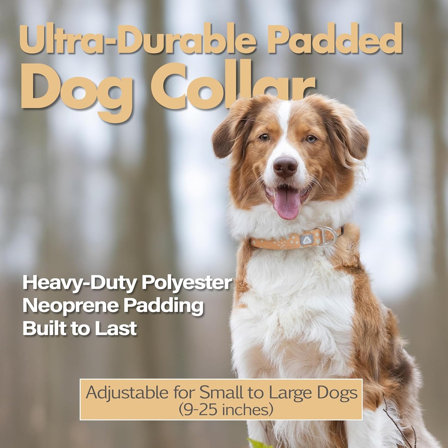 Fall Dog Collar, Cute Star Pattern Brown Collars for Girl & Boy,Reflective,Soft Padded Neoprene,Fully Adjustable,Durable & Lightweight Medium Dog Collar, (Star, M)