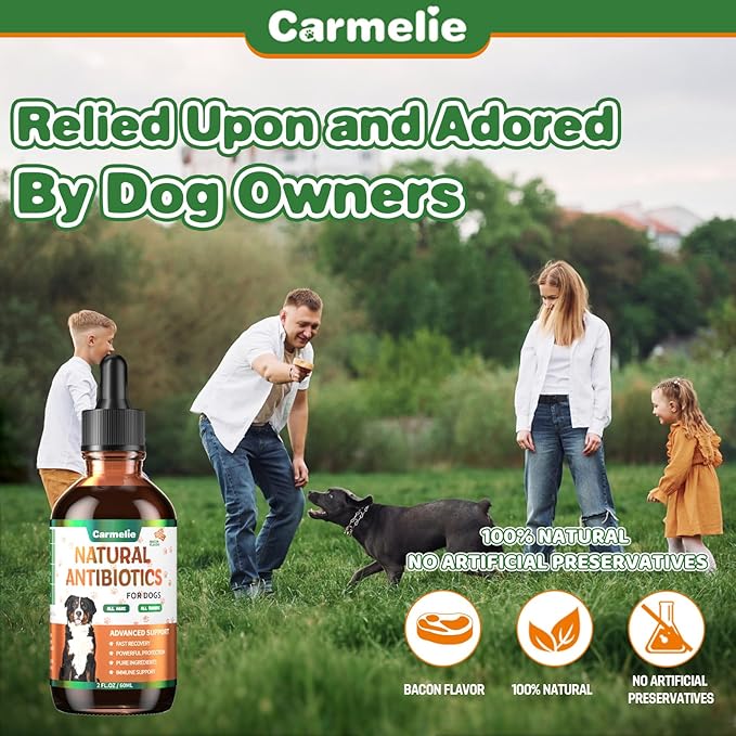 Natural Antibiotics for Dogs - Dog Antibiotics Nutritional Supplements for Skin Issue, Itch Relief, Dog and Cat Herbal Supplement Drops for Pets, Supports Skin Health - 60 ml/2 Fl Oz