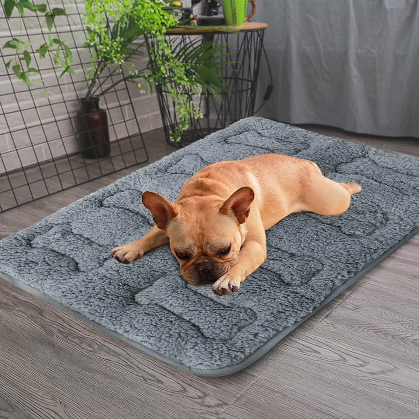 Dog Bed Crate Mat(24" X 18") 2 Pack, Soft Plush Dog Bed Pad Machine Washable Crate Pad, Grey