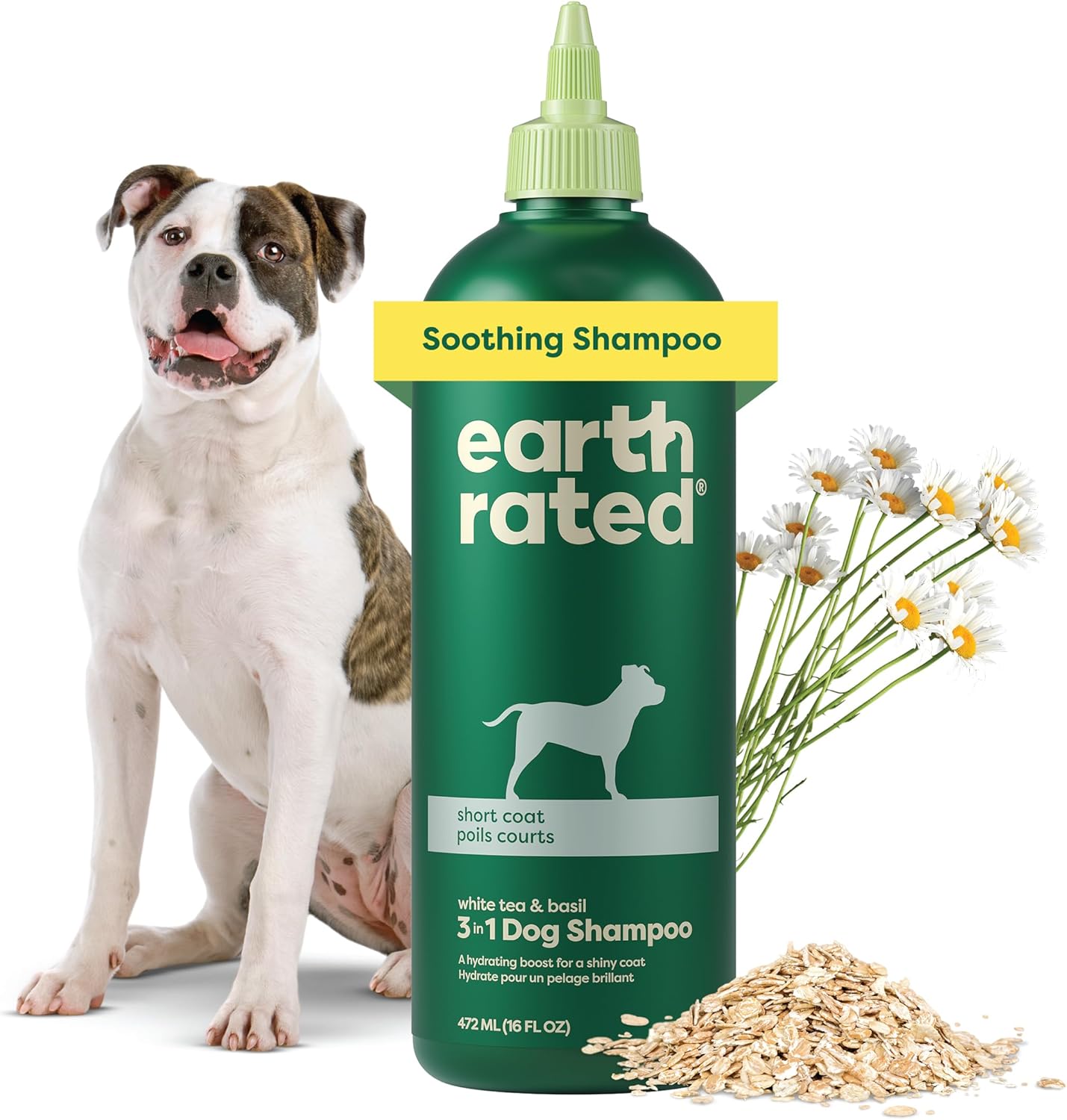 Earth Rated 3-in-1 Soothing Dog Shampoo and Conditioner, Deodorizing Oatmeal Shampoos for Dogs and Puppies, Great for Smelly Pets, White Tea and Basil Scent, 16 oz