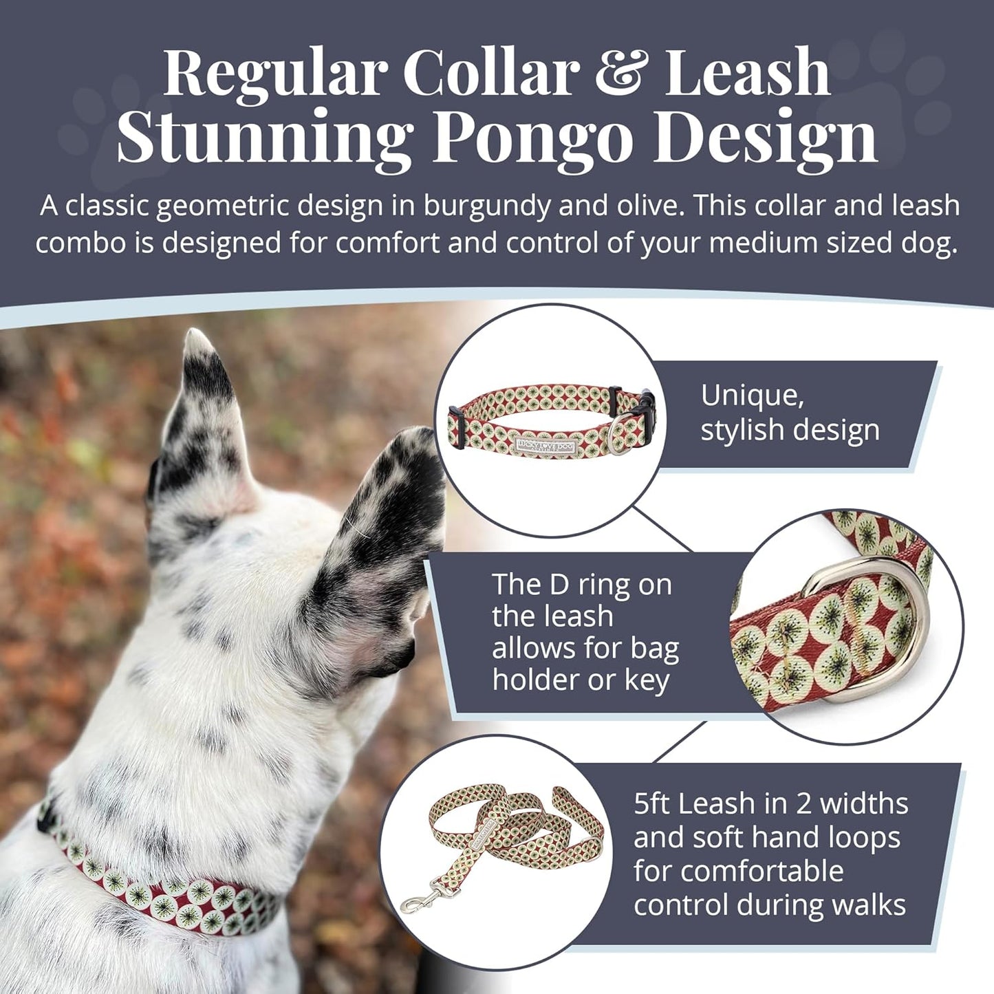 Lucky Love Dog - Easy Click Buckle Dog Collar with Leash Set Combo, Durable & Comfortable for Male & Female Dogs, Pet Collar for Small to Large Dogs, Secure Fit - Pongo Combo, Small