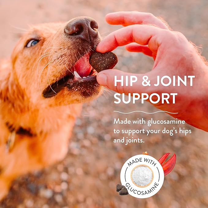 Shameless Pets Soft-Baked Dog Treats - Treats to Help Dog Health and Maintain Healthy Breath, Training Treats for Dogs, Made in The USA - 6 OZ