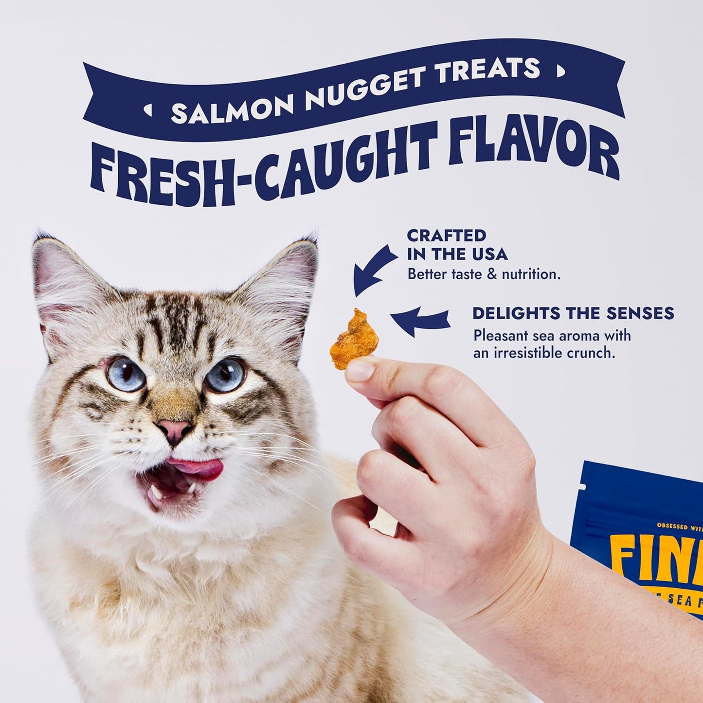 Finfare Freeze Dried Salmon Nuggets, Grain Free Salmon Cat Treats, High Protein & Omega-3s to Support Skin, Coat & Wellness, Crafted in USA, 6oz