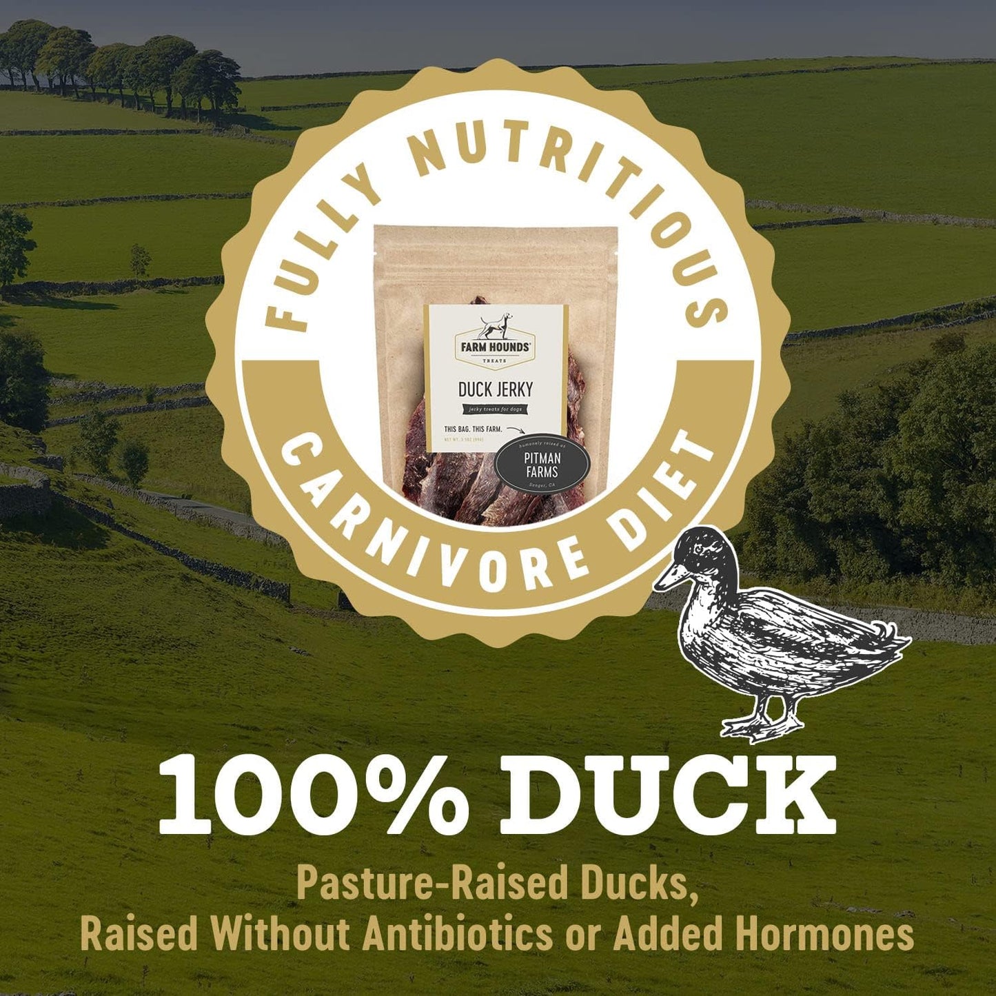 Farm Hounds - Premium Natural Duck Jerky for Dogs - Made from 100% Humanely Raised Duck - Break-to-Size - Great for Training & Treats - No Added Fillers - Made in USA - 3.5 oz - 2 Pack