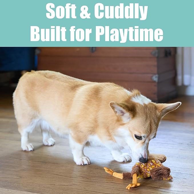 SPOT Skinneeez Chicken 13 Inch Stuffing-Free Plush Squeaky Dog Toy – Soft Interactive Chew Toy for Small and Medium Dogs – Mess-Free Play for Light & Moderate Chewers