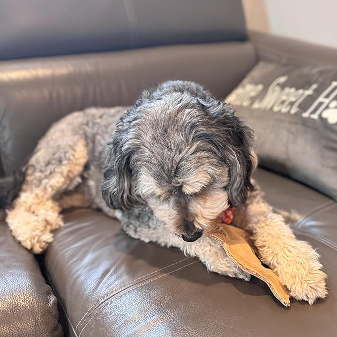 SPOT Dura-Fused Leather Fox Dog Toy – Real Leather & Jute Fabric, Double-Stitched & Durable, Squeaky Interactive Chew Toy for Moderate Chewers, Small & Medium Dogs, Soft Stuffed Fetch Toy, 7.5in