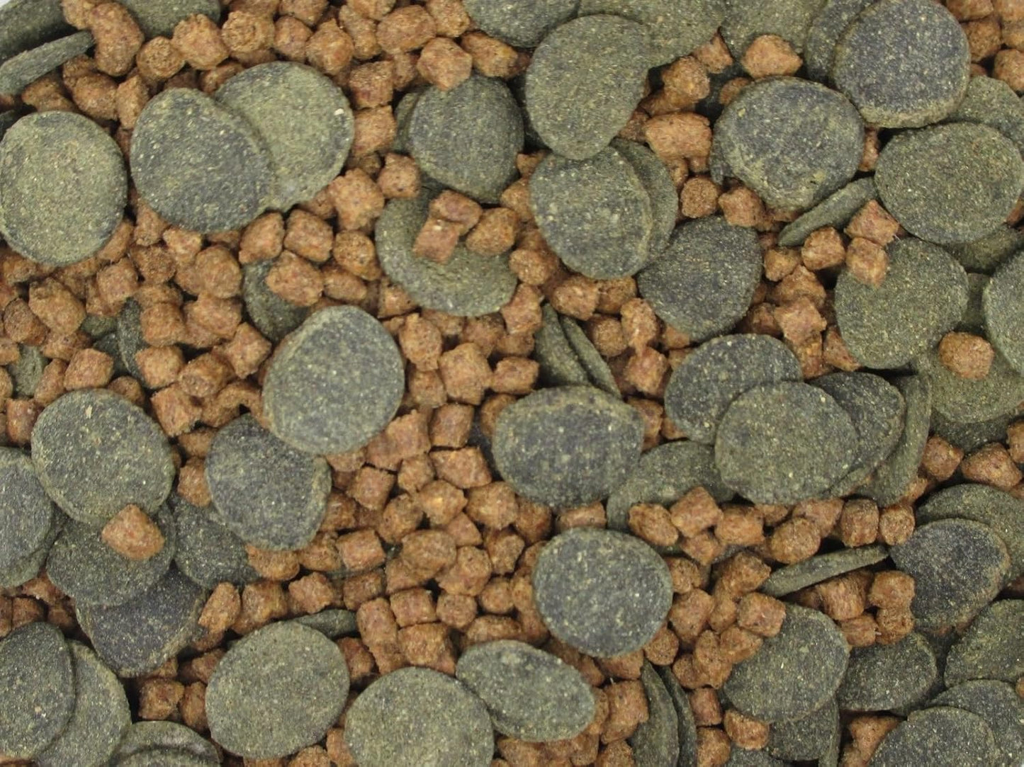 Micro Mix - Sinking Blended Diet for Snails, Shrimp & Bottom Feeding Fish (3 oz (85g))