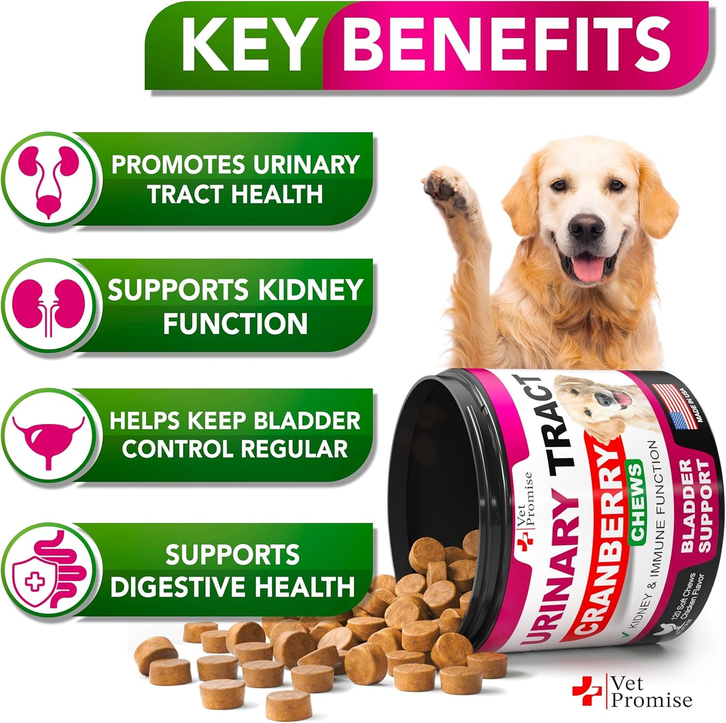 Dog UTI Treatment - Cranberry Supplement for Dogs UTI - Bladder Control - Urinary Tract Infection Treatment Medicine - Cranberry Supplement Vitamins Multivitamin Chews - Made in USA