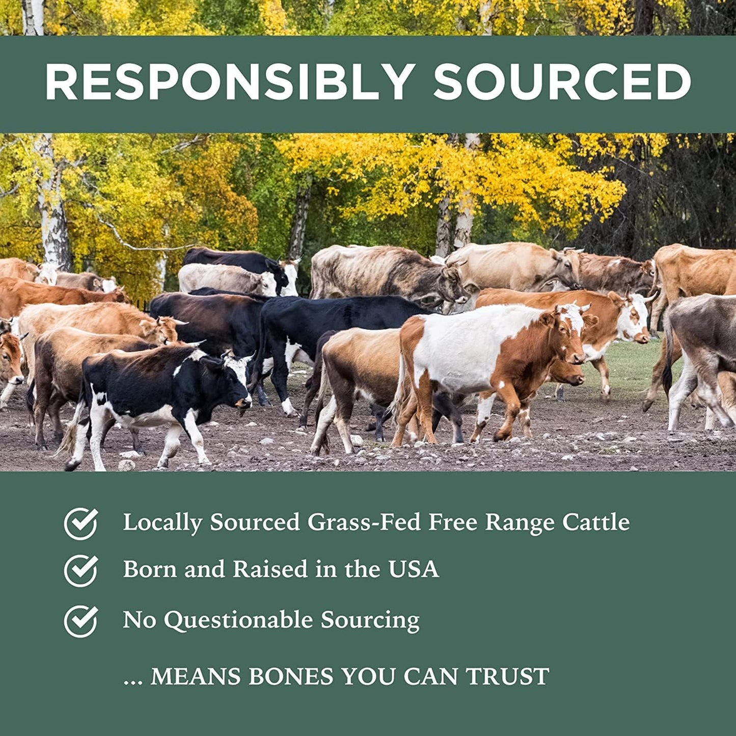 K9 Connoisseur Single Ingredient Dog Bones Made in USA for Small and Medium Breed Dogs Who Struggle with Boredom Natural Meaty Beef Knee Cap Bone Chew Treats Best for K9s Up to 50 Pounds - 16 Pack