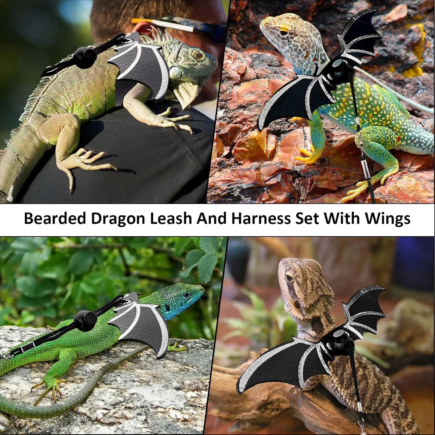 Bearded Dragon Leash and Harness Set, Bearded Dragon Accessories(Include Chest Pack, Lizard Leash), Bearded Dragon Decor Suit for Outdoor Travel-Black