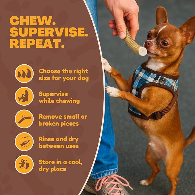 WhiteTail Naturals - Antlers for Small Dogs (6 Pack) Deer Antler Dog Chew Bones for Small Aggressive Chewers - Long Lasting Horn Chew Toys - Naturally Shed