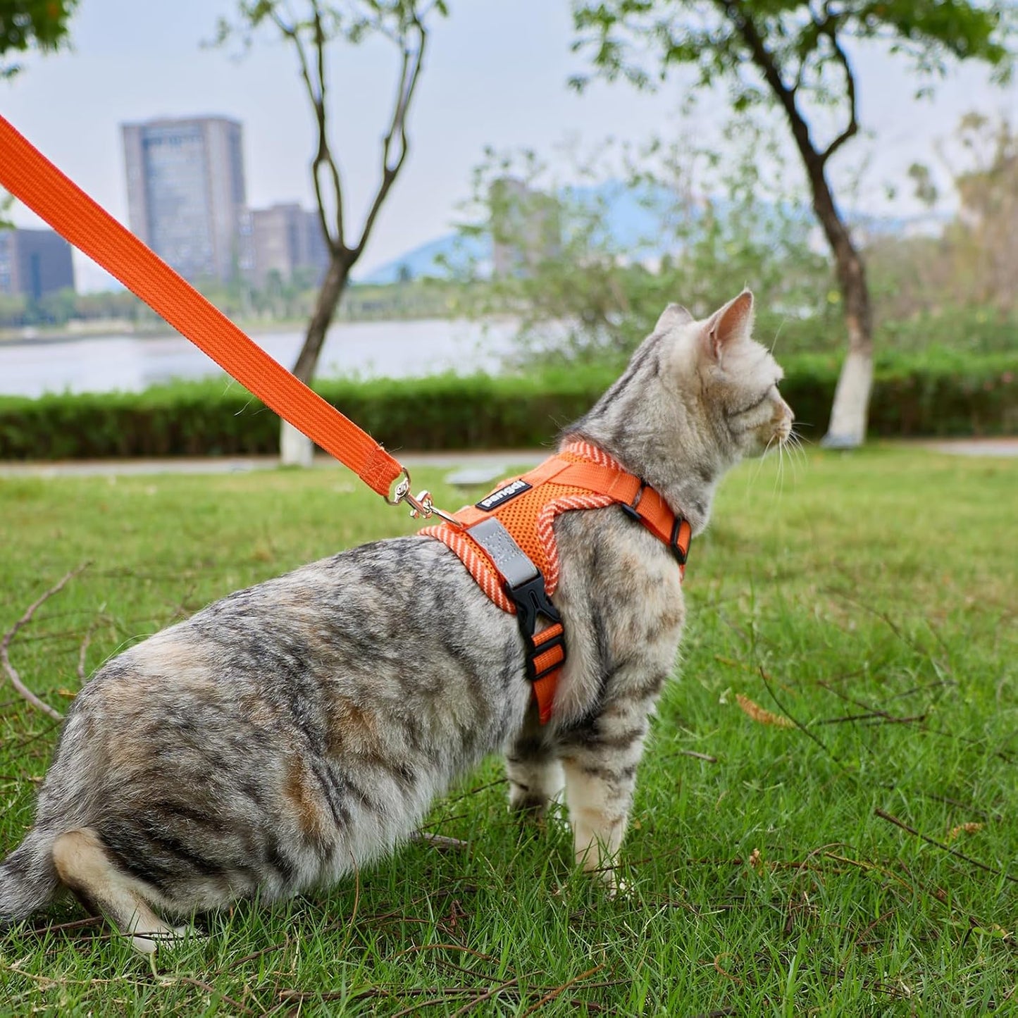Cat Harness and Leash Escape Proof Large Kitten Harness Ragdoll Cat Vest for Walking Travel, Orange, L