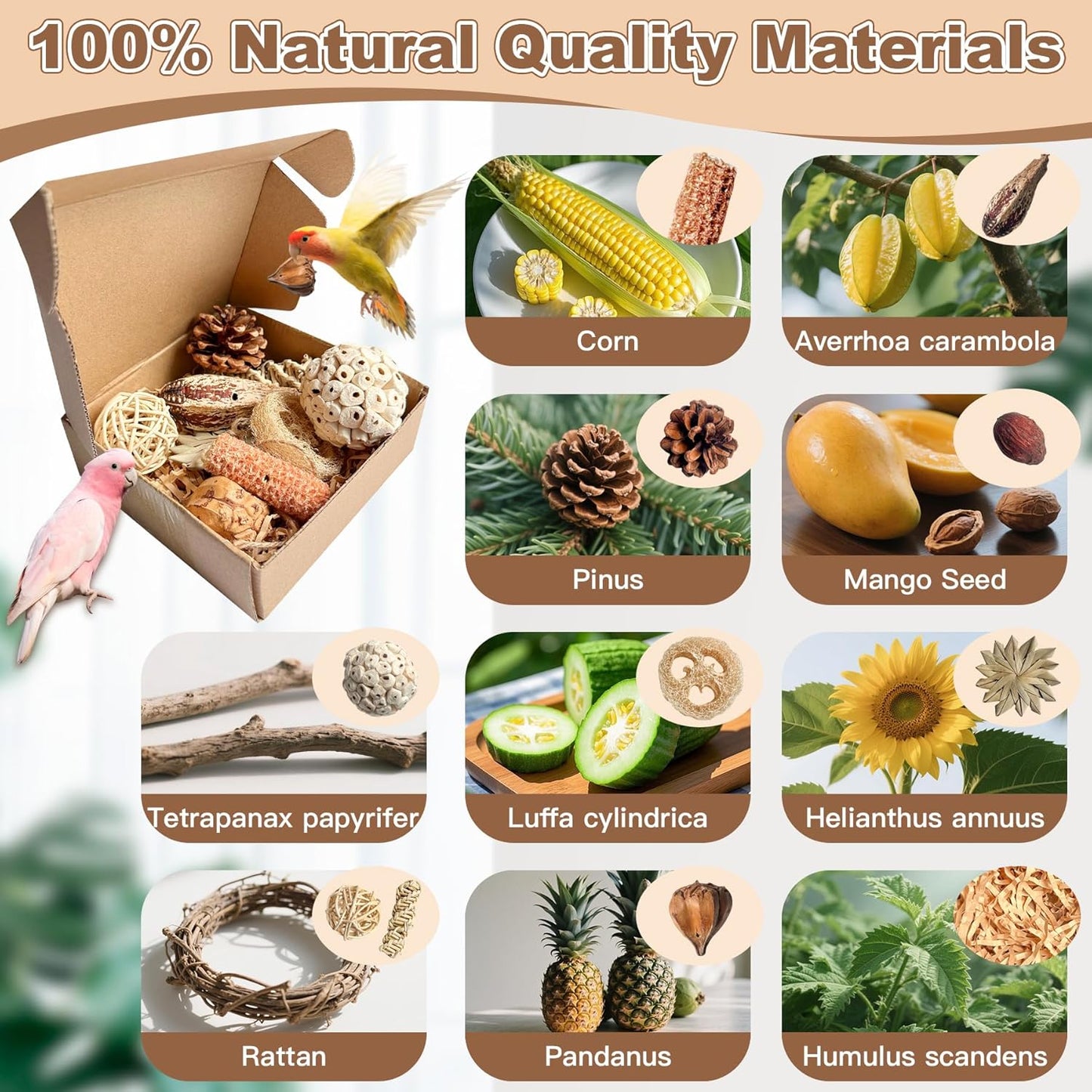 2 in 1 Parrot Toys, Tyotrbs Parakeet Foraging Box DIY Hanging String with Comes with 2 Hooks Bird Toy for Parakeets,Cockatiels,Conures,Love Birds Cage Accessories for Small to Medium Birds