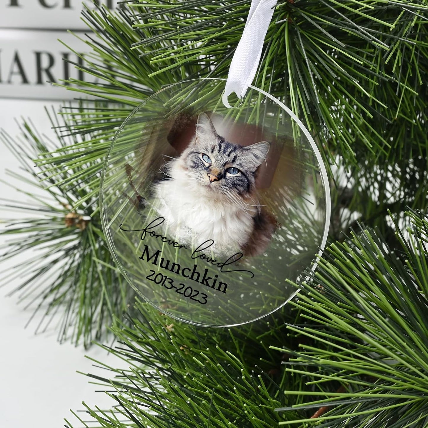 Personalized Cat Memorial Ornament, Touber Christmas Ornaments, Forever Loved Keepsake, Cats Loss Gifts, Pet Memorial Gifts, in Loving Memory of Cat - Acrylic