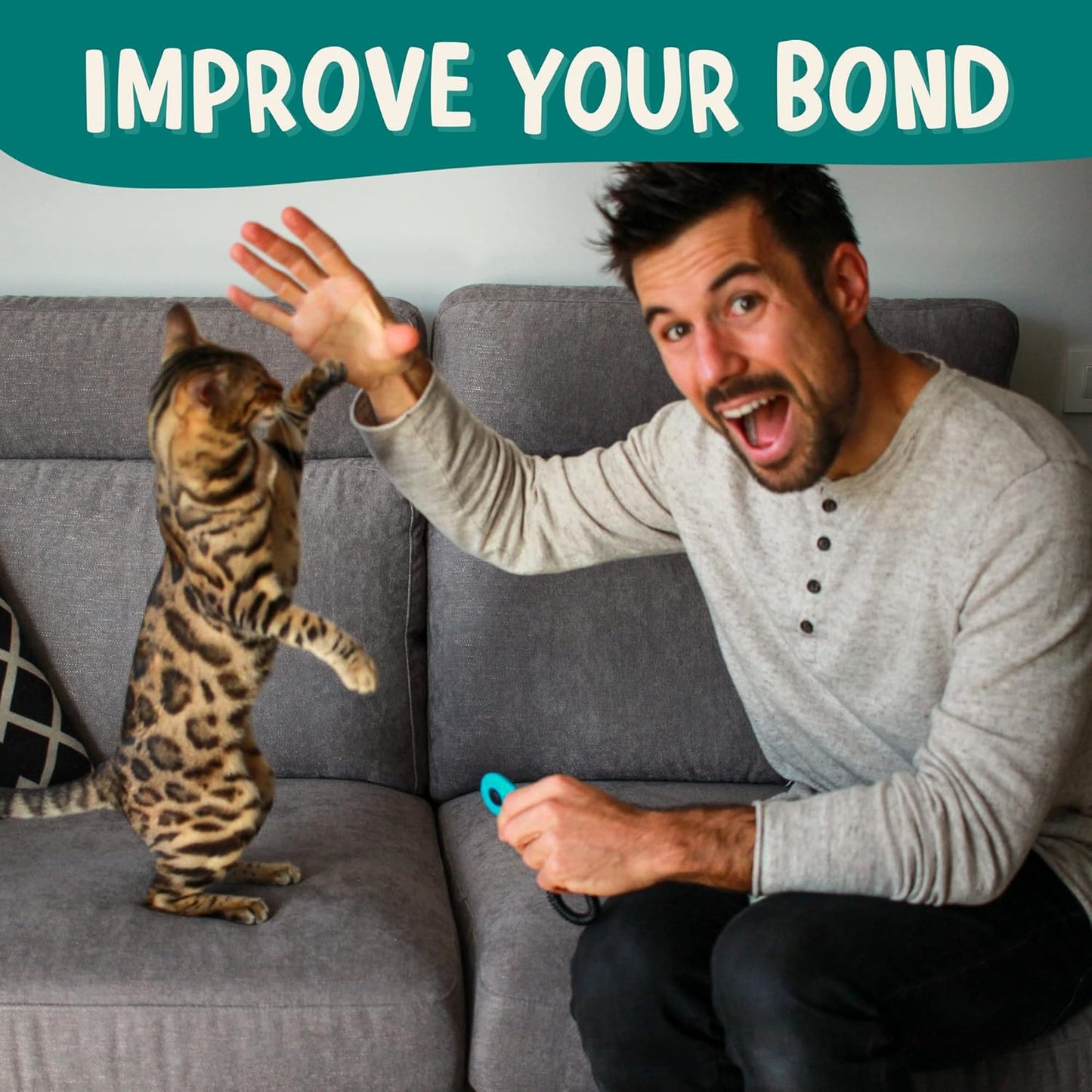 OutdoorBengal The Click Crusade Cat Clicker Training Card Game for Pet Training with Clicker - Train Cats to do Tricks, Improve Communication and Bond with Your Cat (Clicker Trainer not Included)