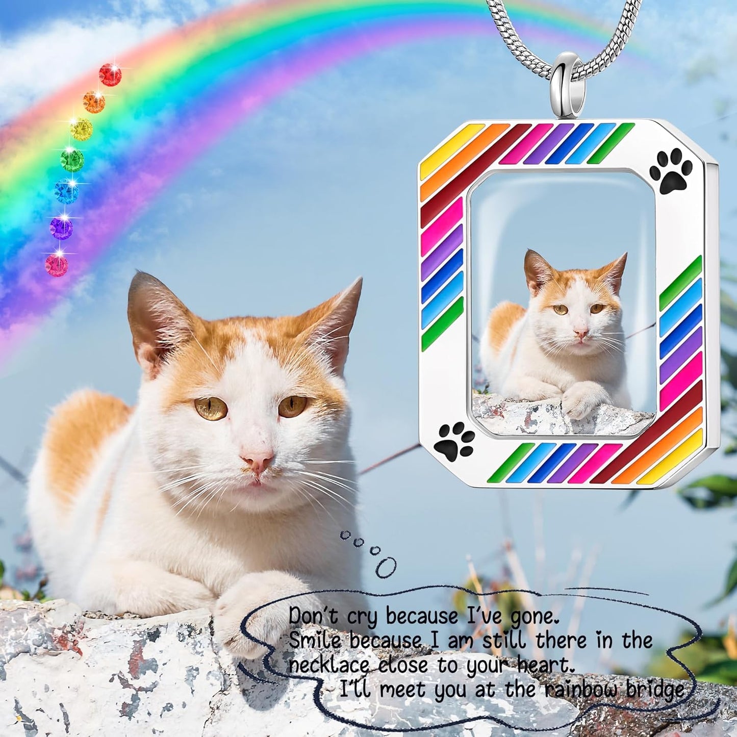 Fanery Sue Personalized Pet Ashes Necklace for Dog Cat Custom Photo&Text Pet Loss Sympathy Gift Cremation Jewelry