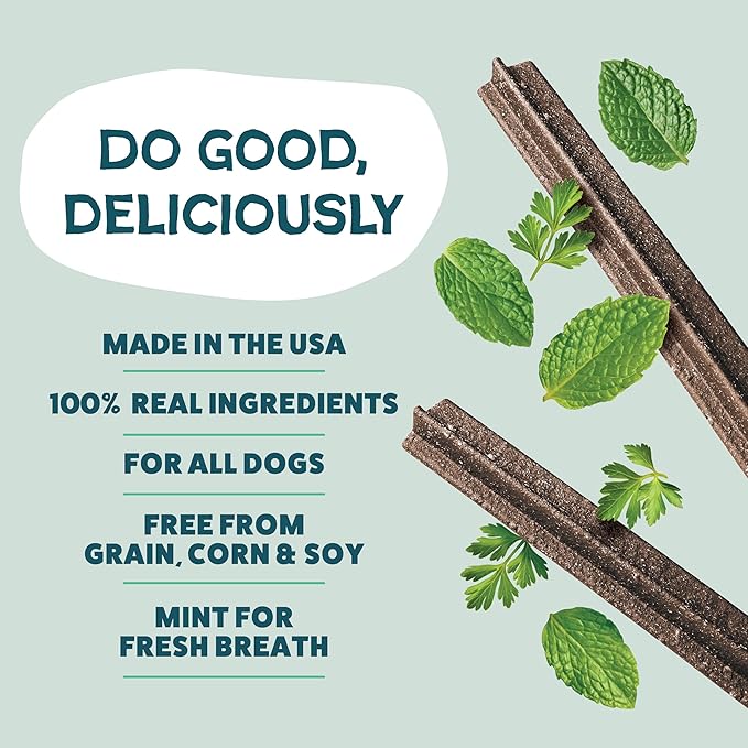 Shameless Pets Dental Chews for Dogs, Mighty Mint Dental Sticks, Healthy Treats for Teeth Cleaning & Fresh Breath - Free from Grain, Corn, & Soy for Small Dogs, 32 Sticks