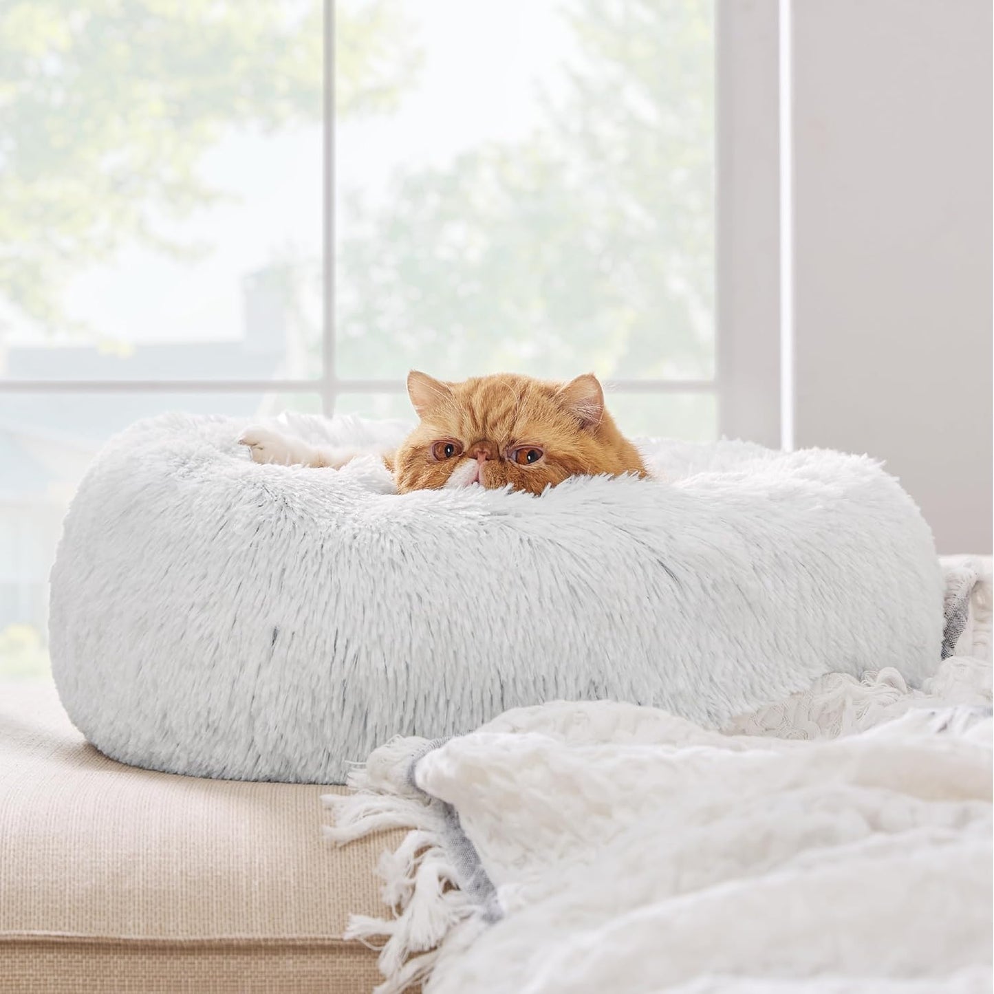Bedsure Calming Cat Beds for Indoor Cats - Small Cat Bed Washable 20 inches, Anti-Slip Round Fluffy Plush Faux Fur Pet Bed, Fits up to 15 lbs Pets, Frost Grey