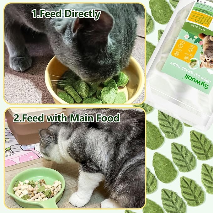 50g/1.76oz Cat Grass Treats, Cat Grass Teething Stick for Hairball Remove and Teeth Cleaning, Edible Cats Grass Stick Snack