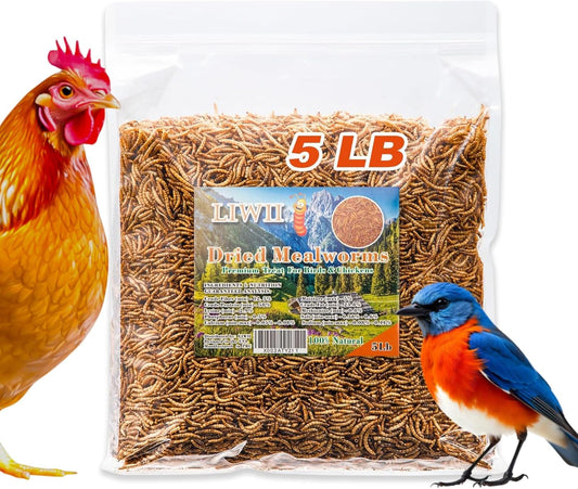Dried Mealworms - 5 LBS - 100% Natural Non-GMO High Protein - Bulk Mealworms for Wild Birds, Chickens, Pet Treats & Reptile Food