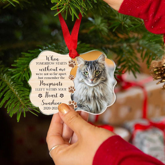 Custom Cat Memorial Acrylic Ornament - Rememberance Ornament for Loss of A Pet - Personalized Gifts - Pet Bereavement Gift - Pet Sympathy Gift (Cat Memorial Acrylic)