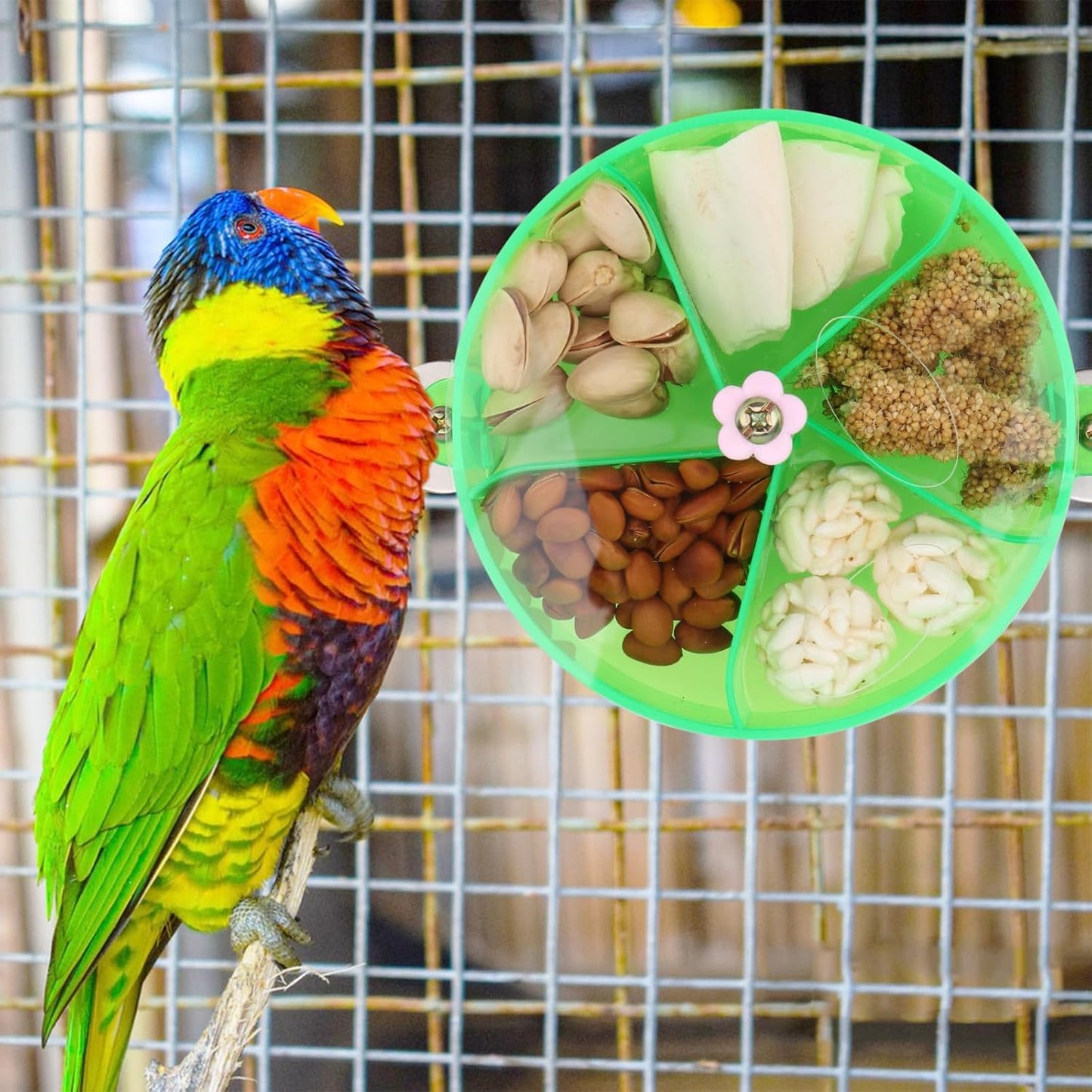 Bird Creative Foraging System Wheel Seed Food Ball Rotate Training Toy for Small and Medium Parrots Parakeet Cockatiel Conure (Green)