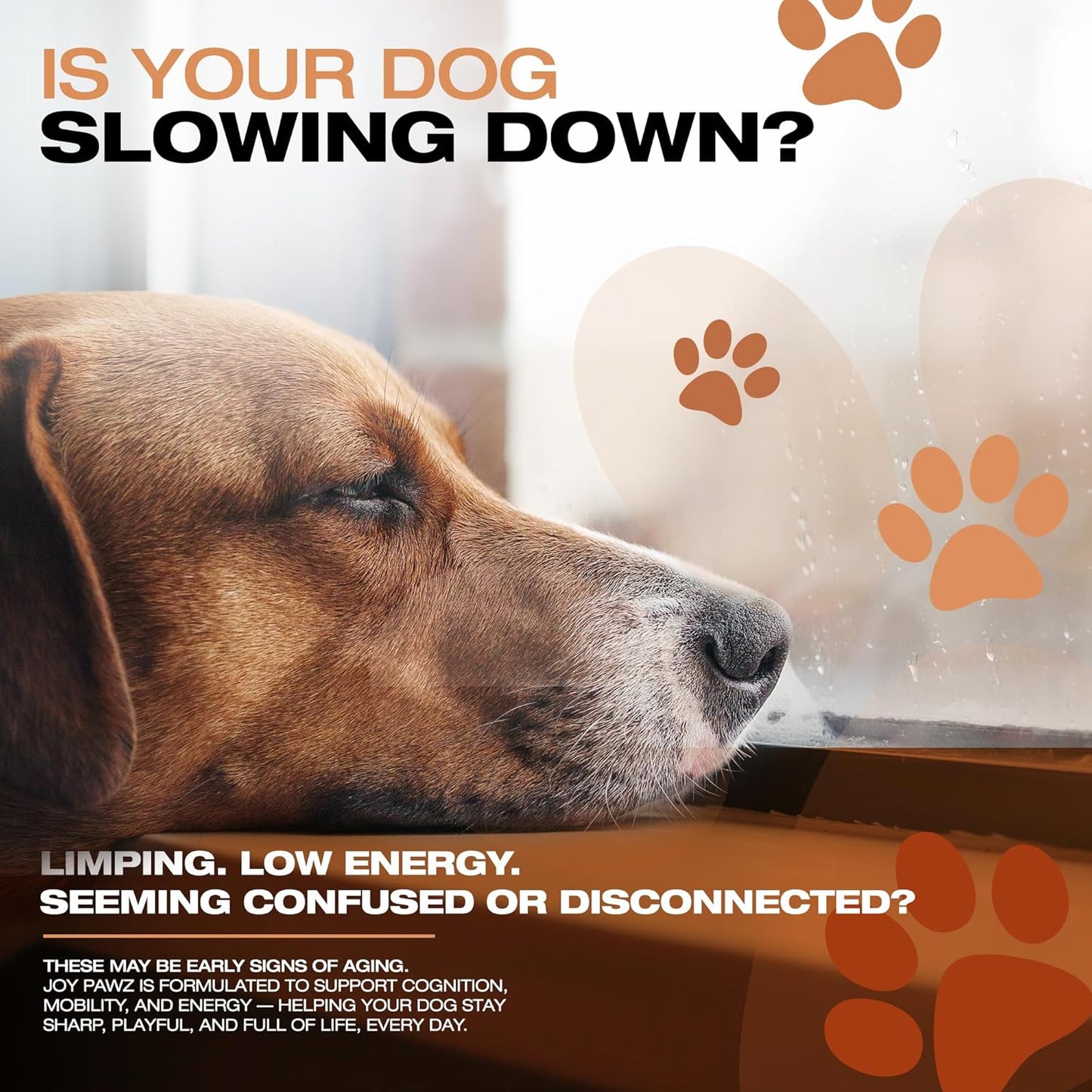 Anti-Aging Dog Supplement – NAD+ Levels Raised w/Nicotinamide Riboside, Tumeric, Multivitamin, Probiotics - Soft Chews for Senior Dogs - Brain, Joint & Immune Support – Chicken Flavor, 100pc