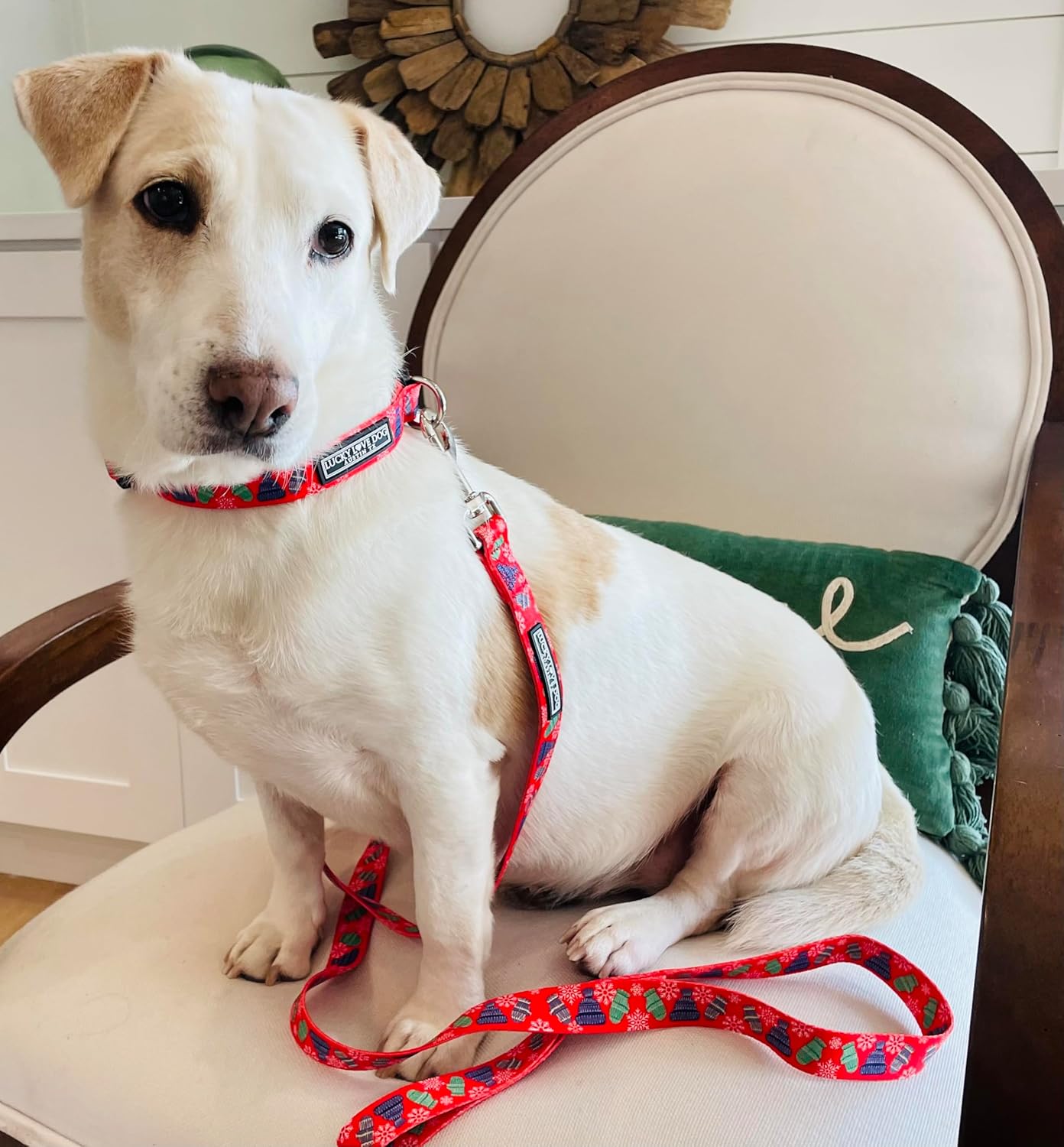 Lucky Love Dog, Winter Stocking Caps and Mittens Dog Collar and Leash Set, Matching Snowflakes Collar and Leash for Male and Female Dogs - (Small, Chilly Combo)