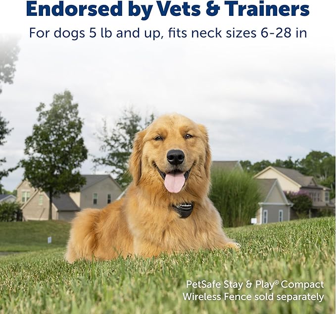 PetSafe Stay & Play Pet Fence Wireless, Dog Fence Collar Rechargeable Receiver Collar, Waterproof Design, Compatible with All PetSafe Wireless Fences, Invisible Wireless System (Black)