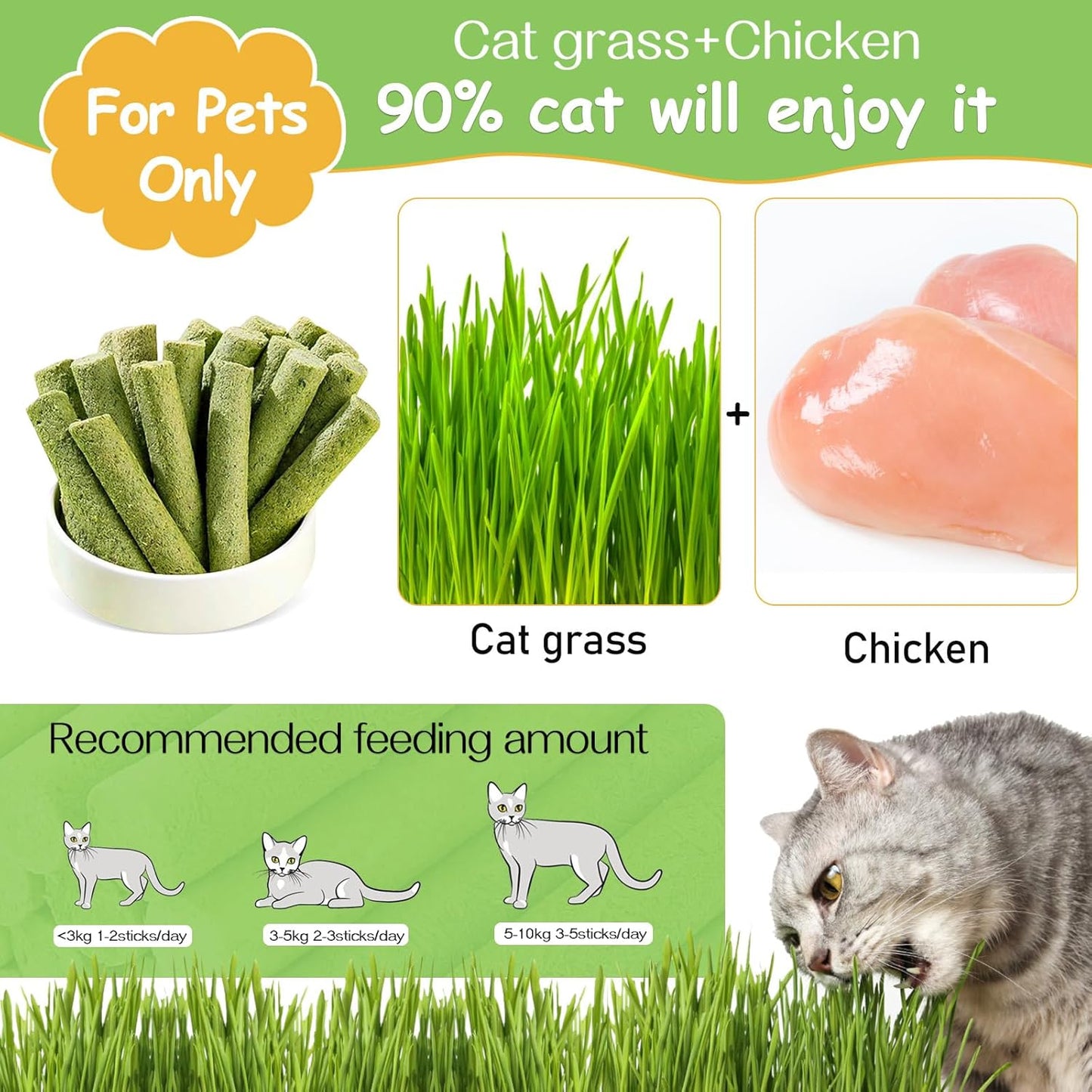 HavenJanny 100g Cat Grass Teething Stick, Freezed Drying Cat Grass Sticks Snacks for Cats, Edible Cats Treats for Teeth Cleaning and Hairball Removal