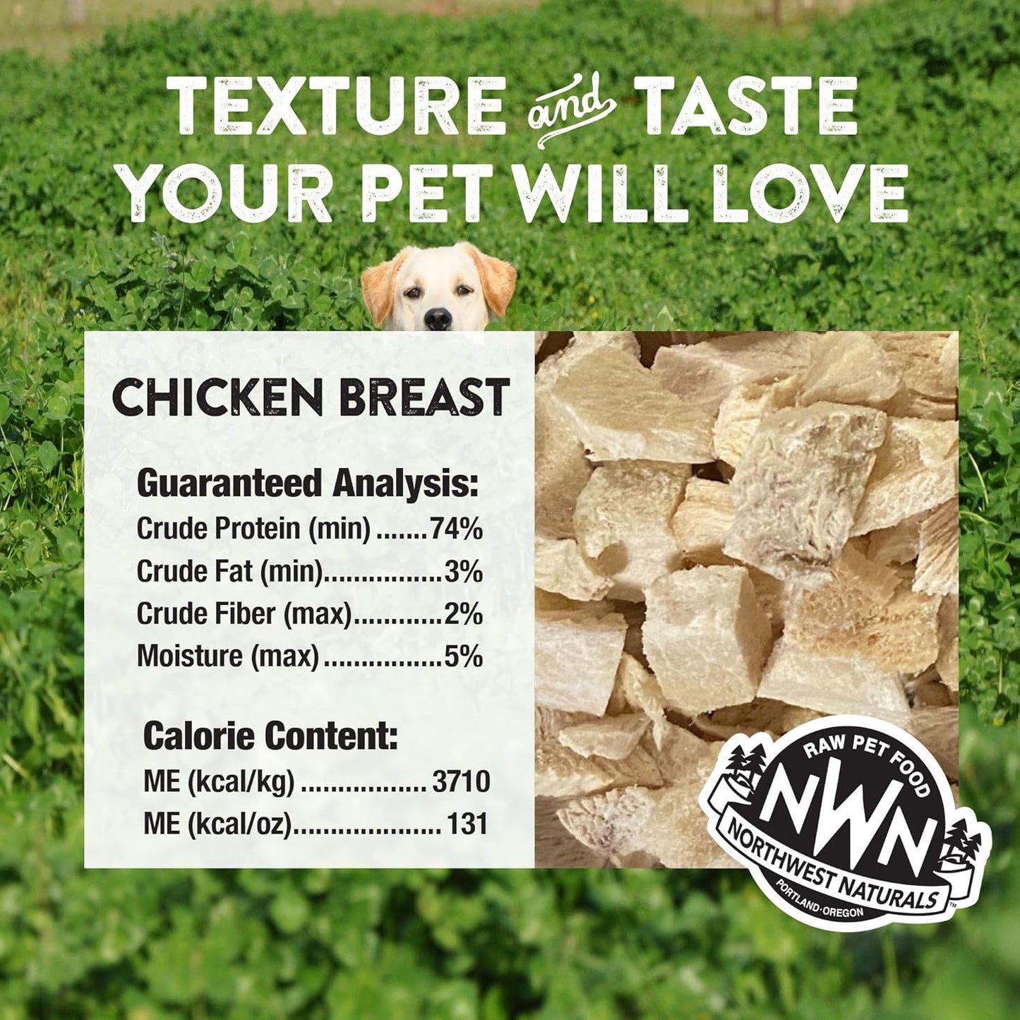 Northwest Naturals Raw Rewards Freeze-Dried Chicken Breast Treats for Dogs and Cats - Bite-Sized Pieces - Healthy, 1 Ingredient, Human Grade Pet Food, Natural, Proudly Made in USA, 10 Oz (Pack of 3)