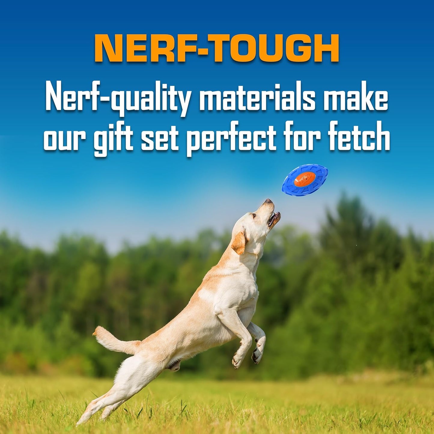 Nerf Dog Toy Gift Set, 3-Piece Set of Outdoor Dog Toys for Tug and Fetch, Includes Spike Squeak Ball, Treat Tug Bone and Exo Squeak Football