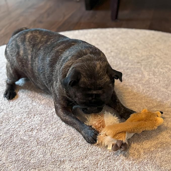 SPOT Skinneeez Fox – 14" Stuffing-Free Plush Squeaky Dog Toy for Small & Medium Dogs, Best for Light to Moderate Chewers, Mess-Free Play