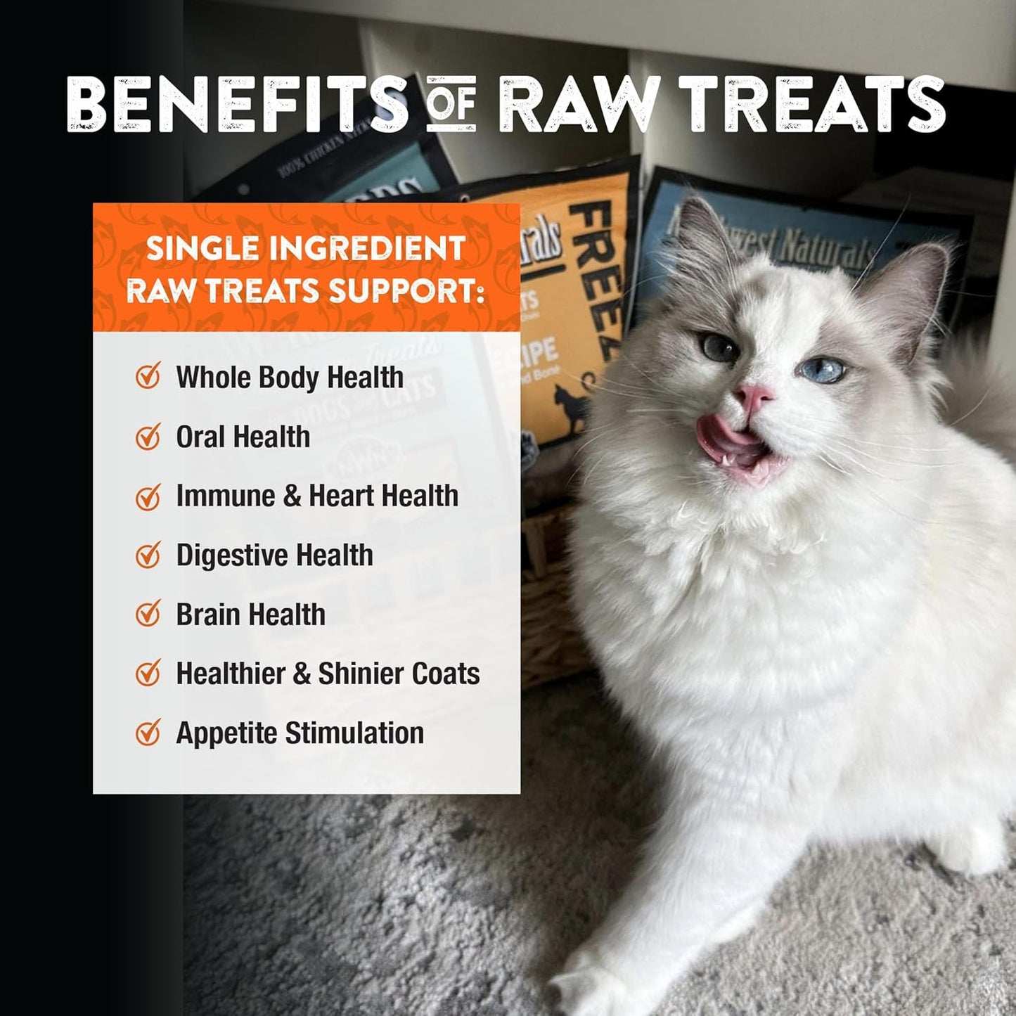 Northwest Naturals Raw Rewards Freeze-Dried Salmon Treats for Dogs and Cats - Bite-Sized Pieces - Healthy, 1 Ingredient, Human Grade Pet Food, All Natural, Proudly Made in USA, 2.5 Oz