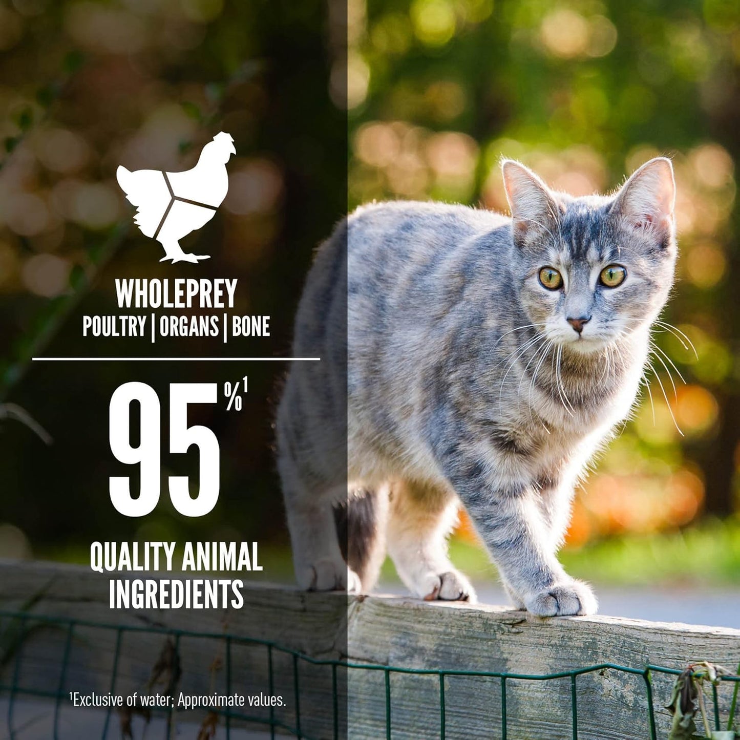 ORIJEN Premium Pate Wet Cat Food in Bone Broth Original Entrée 3oz Cans (24 Count)