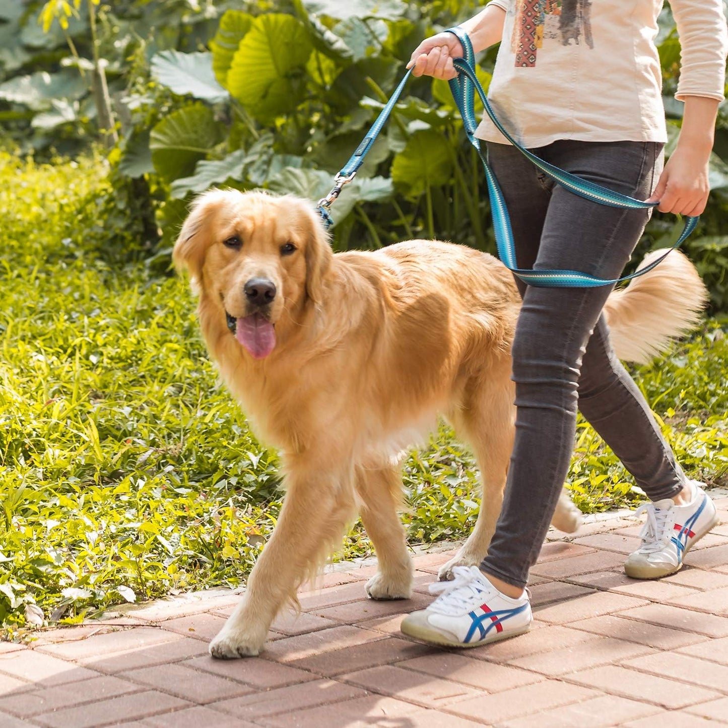 Martingale Dog Collar Turquoise Green, Neck 11"-15.5", Wide :1", Soft Durable No Pull Anti-Escape Pet Collar for Small Dogs