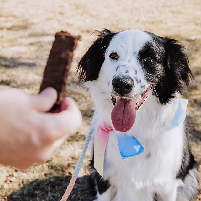 Superfood Dog Treats Salmon, Chicken or Beef Jerky Bars - Dog Treats for Snacks and Training – Made in USA - No Corn, Wheat or Soy – Poultry Free (5 Ounces, Beef)
