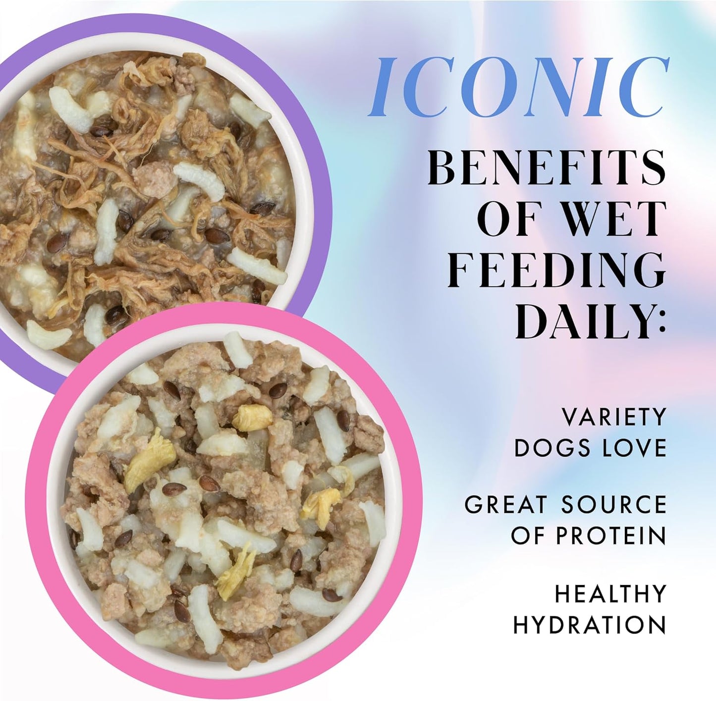 Pamper Like Paris Natural Wet Dog Food, Beef and Duck Recipes Cooked in Broth Variety Pack (2.75oz Cup, Pack of 10)