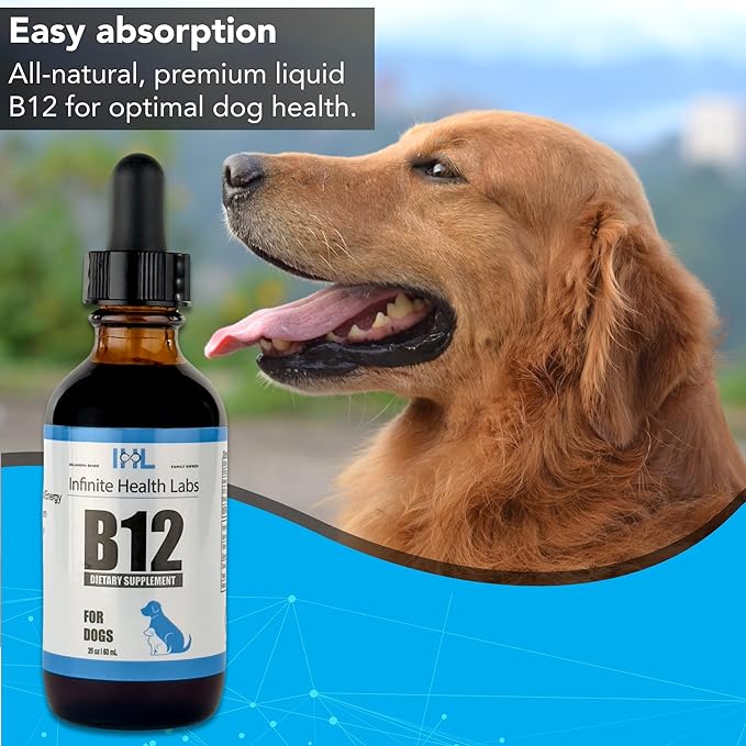 Liquid Vitamin B-12 for Dogs - Methylcobalamin Supplement for Pets - Dog Vitamins for Medium & Large Breed - Pet Vitamins and Supplements - Dog Multivitamins