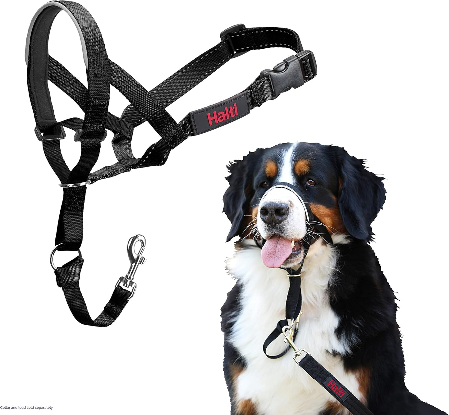 HALTI Headcollar - To Stop Your Dog Pulling on the Leash. Adjustable, Reflective and Lightweight, with Padded Nose Band. Dog Training Anti-Pull Collar for Large Dogs (Size 5, Black)