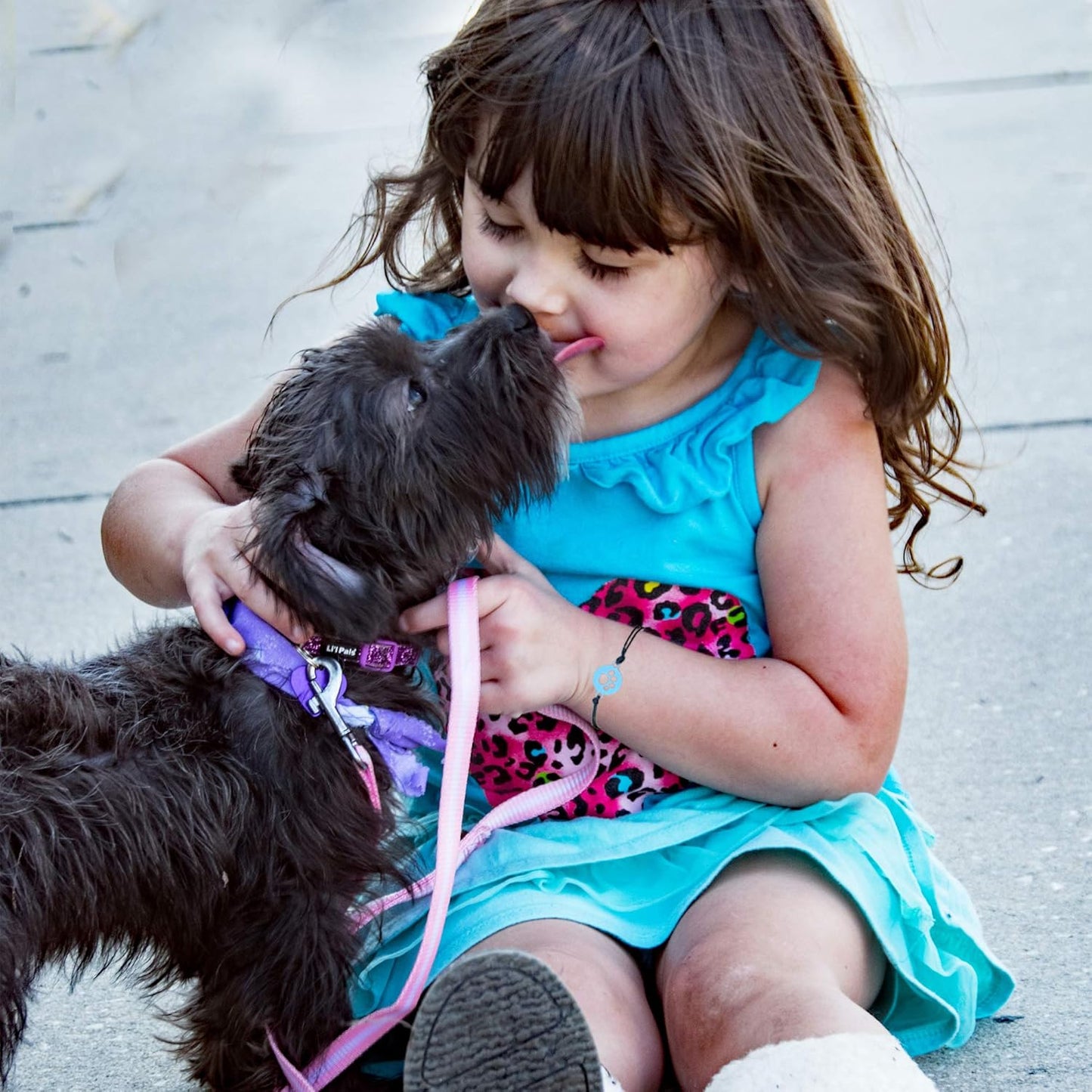 2pcs Commemorative Bracelets,Sympathetic Paw Print Friendship,Commemorative Gift for Cat and Dog Lovers