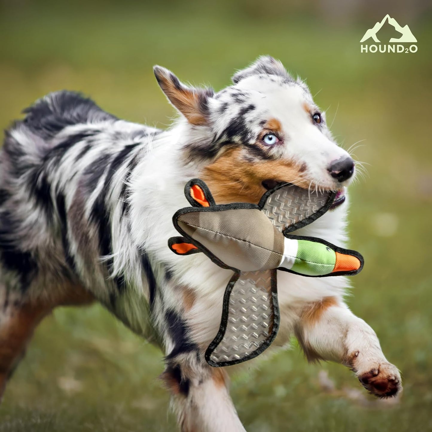 Dog Toys | Plush Toy Duck & Trout Fish Stuffed Animal for Dogs, Value 2-Pack | Outdoor Toy - Easy to Clean and Made from Non Toxic Materials