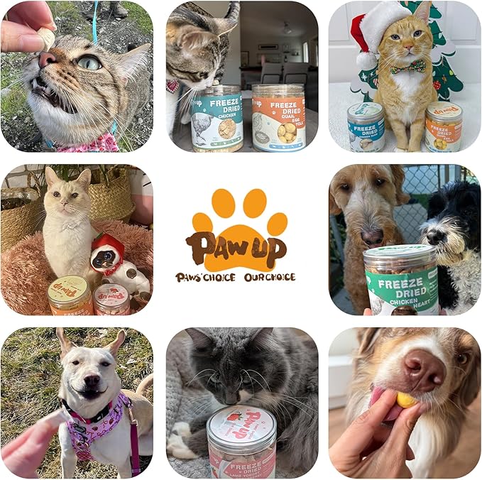 Freeze Dried Quail Egg Yolk Pet Treats, Freeze-Dried Pet Food for Dogs, Cats, Pure Fresh Ingredient, 4.2 oz, Rawhide Free, Gluten&Grain Free