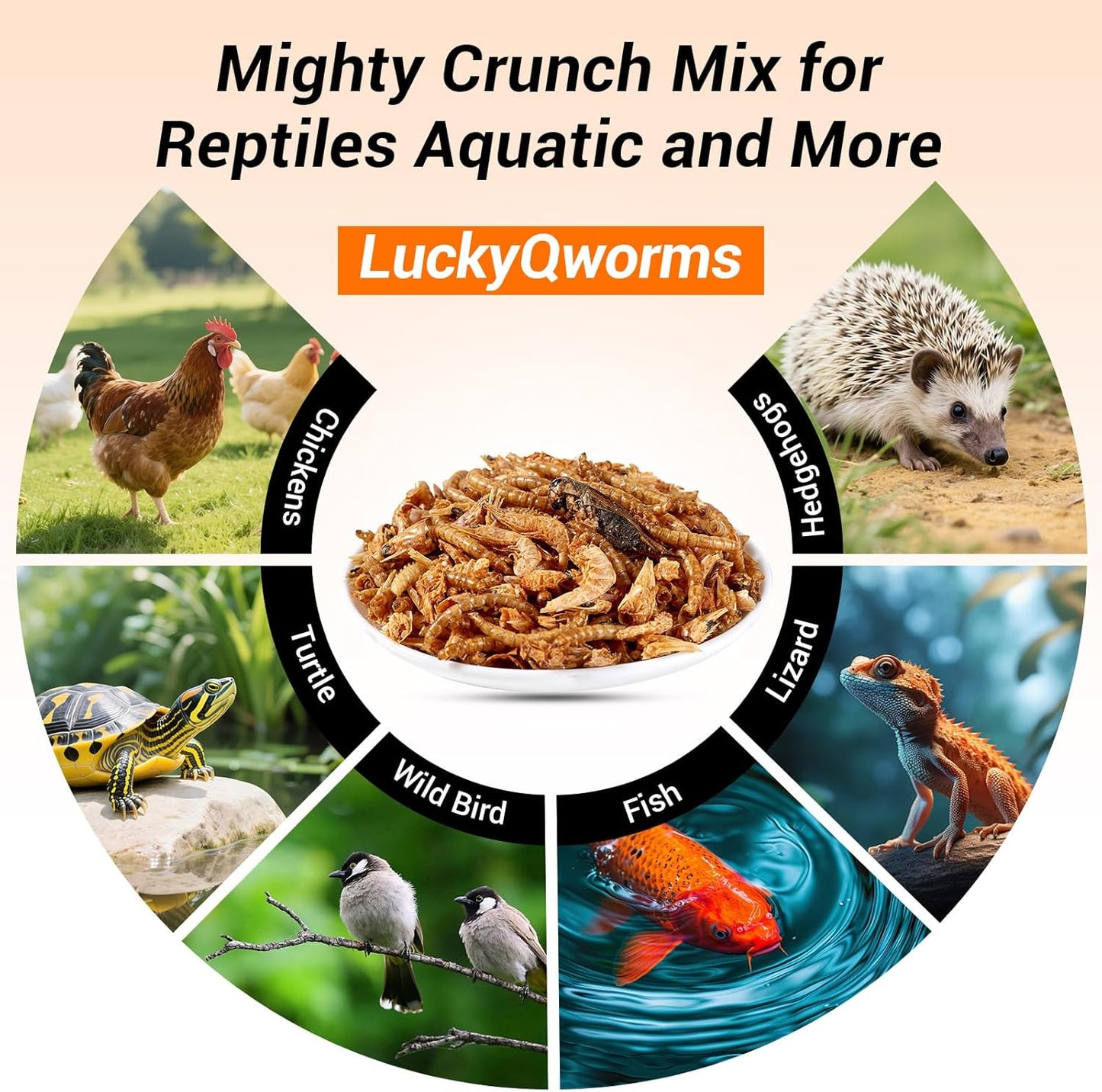 Mighty Crunch Mix Aquatic Turtle Food - 1 Lbs Resealable Bag of High Protein Insect Blend, Dried Mealworms, River Shrimp, Crickets - for Turtles, Reptiles & Amphibians, Chicken, Birds