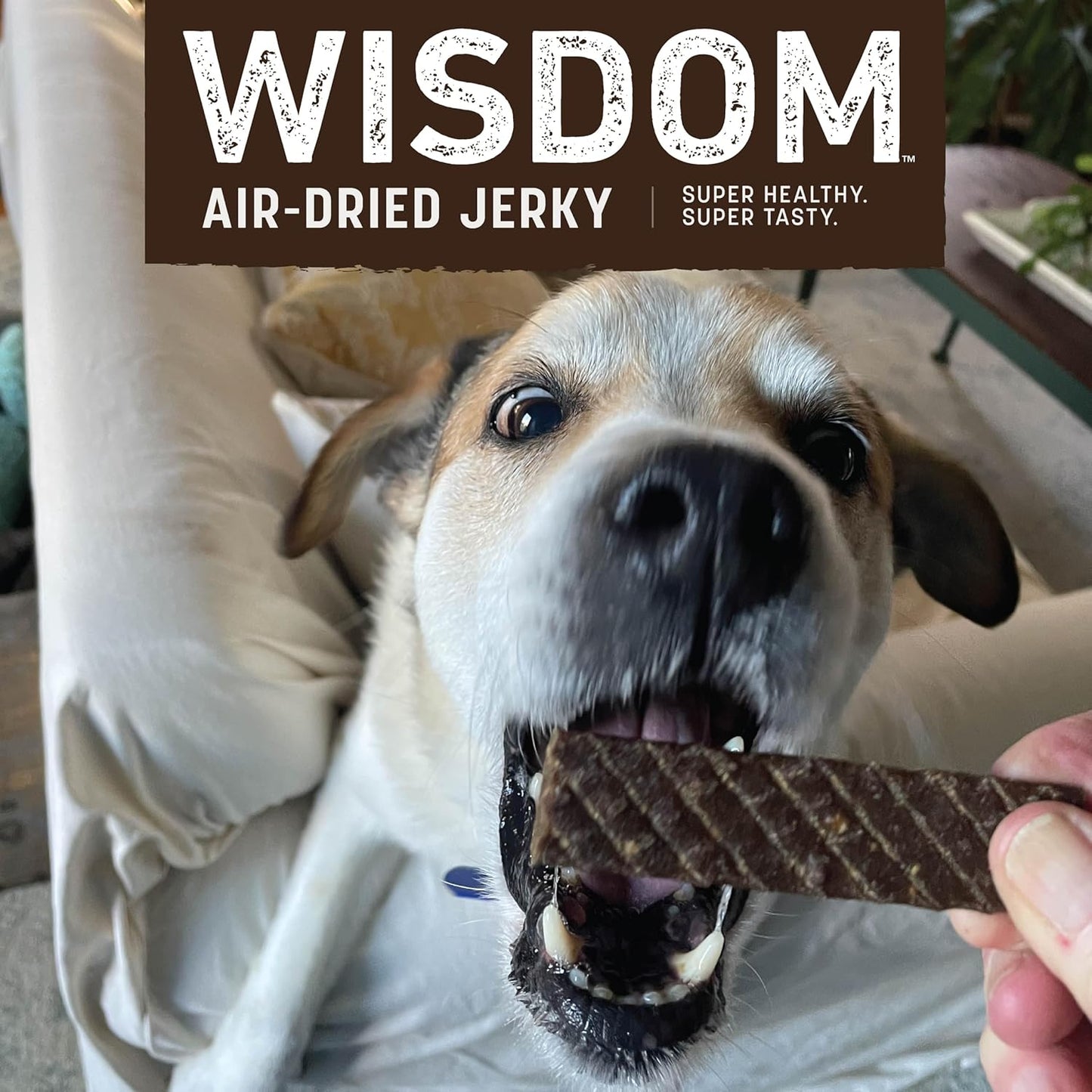 Earth Animal Wisdom Air-Dried from The Air Recipe Premium Natural Jerky Strips Dog Treats, 4 oz. Bag (Pack of 3)