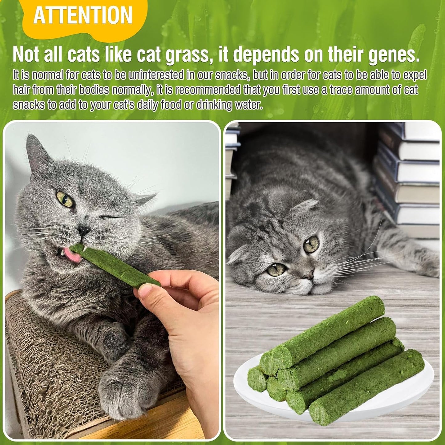 HavenJanny 50g/1.76oz Cat Grass Teething Stick, Cat Grass Stick Canned for Indoor Cats, Cats Treats Hairball Relief and Teeth Cleaning